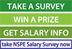 NSPE Salary Survey 2006